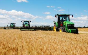 Domestic wheat prices slow recovery of the decline in the storage of Wheat